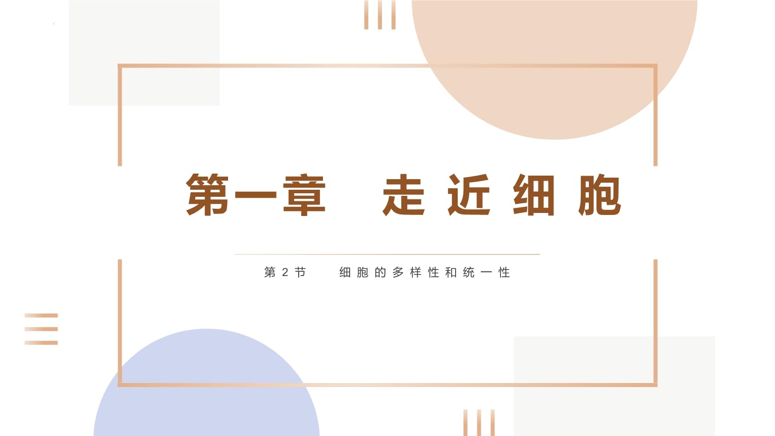 双一科技(300690)_股票价格_行情_走势图—东方财富网